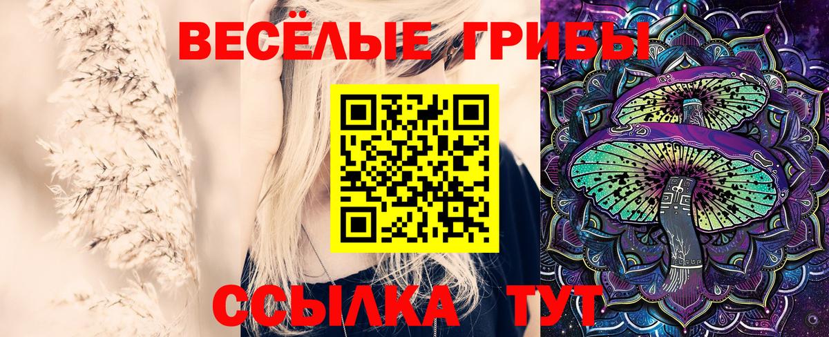 Галлюциногенные грибы ЛСД  Галлюциногенные грибы мицелий  Отрадное  Вход с VPN 
