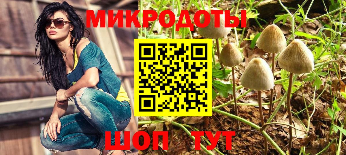 Галлюциногенные грибы мухоморы Отрадное
